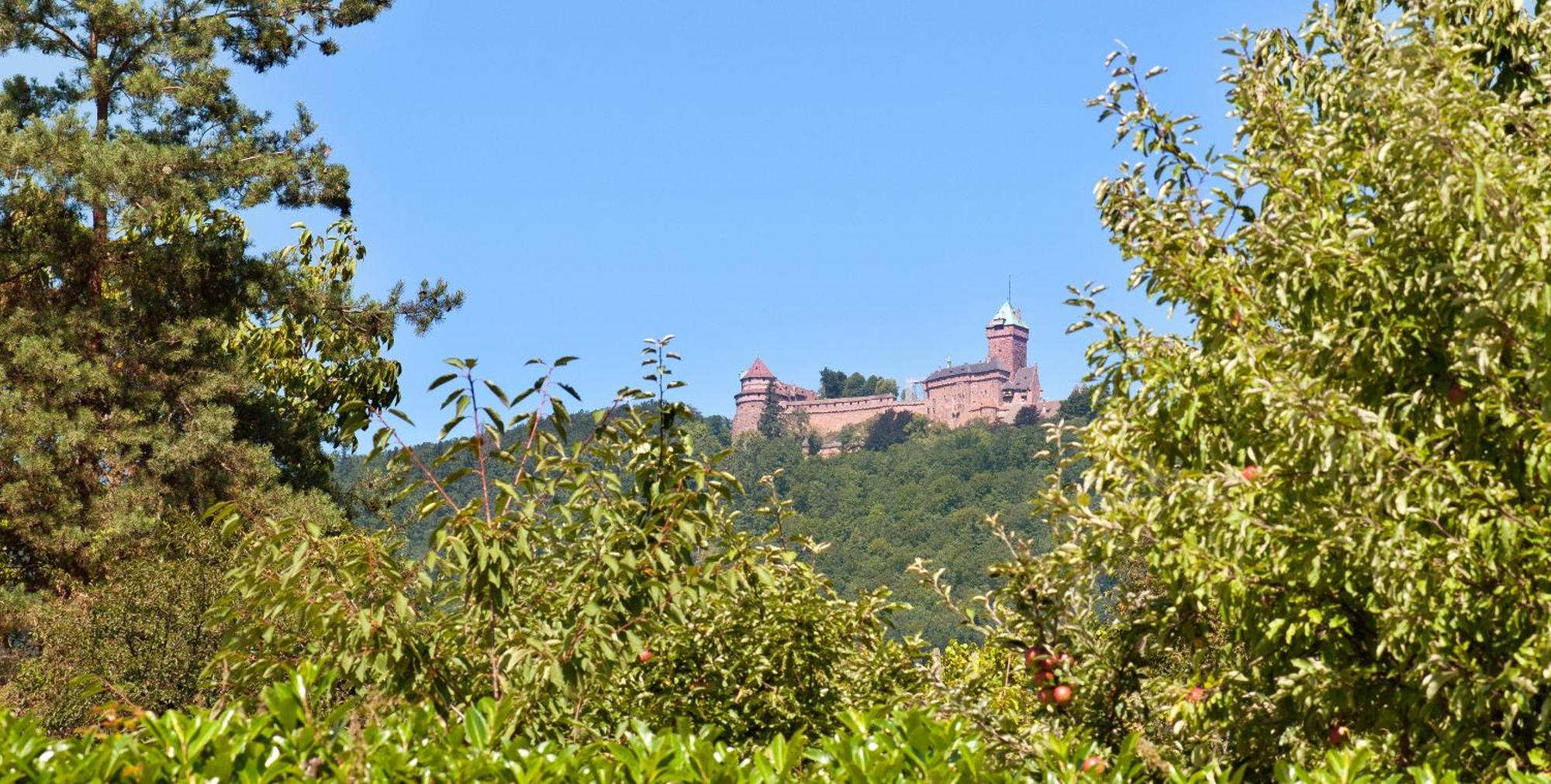 Logis Hotel Le Parc & Spa Saint-Hippolyte  Εξωτερικό φωτογραφία